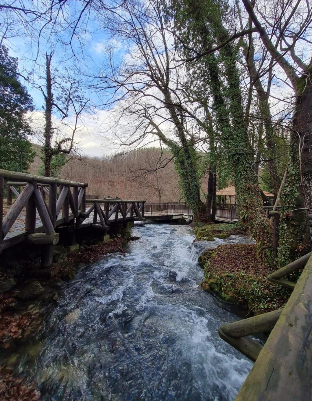 Villa Brvnara Na Obali Reke Drine Beserovina Exterior foto